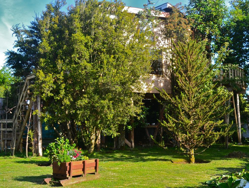 La Casa Del Arbol De Chiloe Villa Castro Eksteriør bilde
