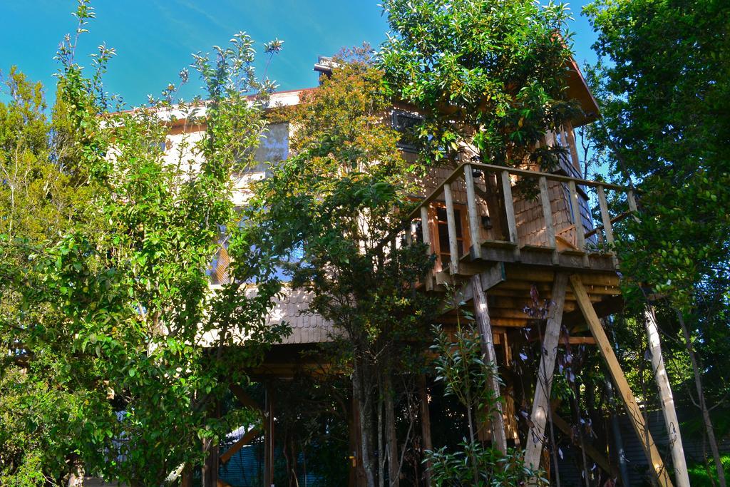 La Casa Del Arbol De Chiloe Villa Castro Rom bilde