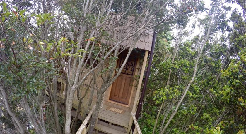La Casa Del Arbol De Chiloe Villa Castro Rom bilde