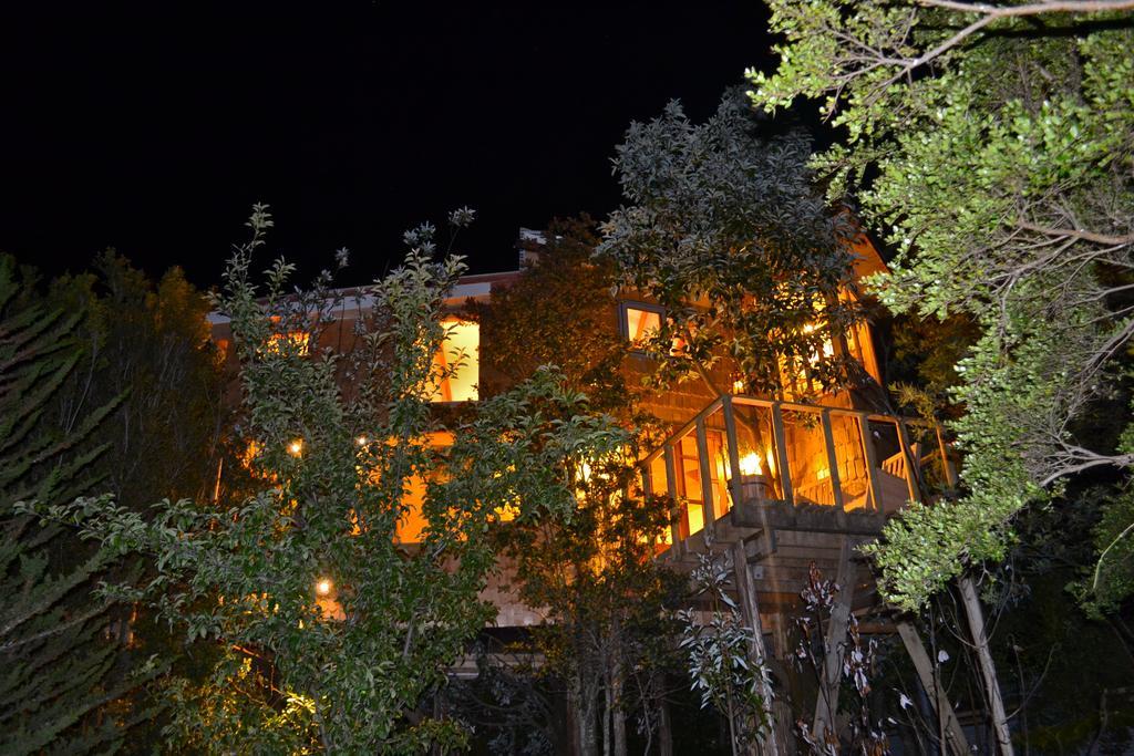 La Casa Del Arbol De Chiloe Villa Castro Eksteriør bilde