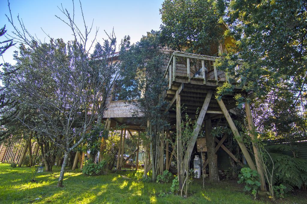 La Casa Del Arbol De Chiloe Villa Castro Eksteriør bilde