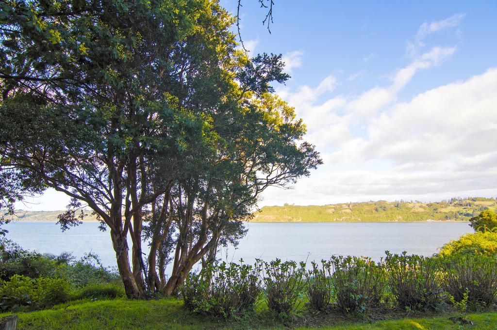 La Casa Del Arbol De Chiloe Villa Castro Eksteriør bilde