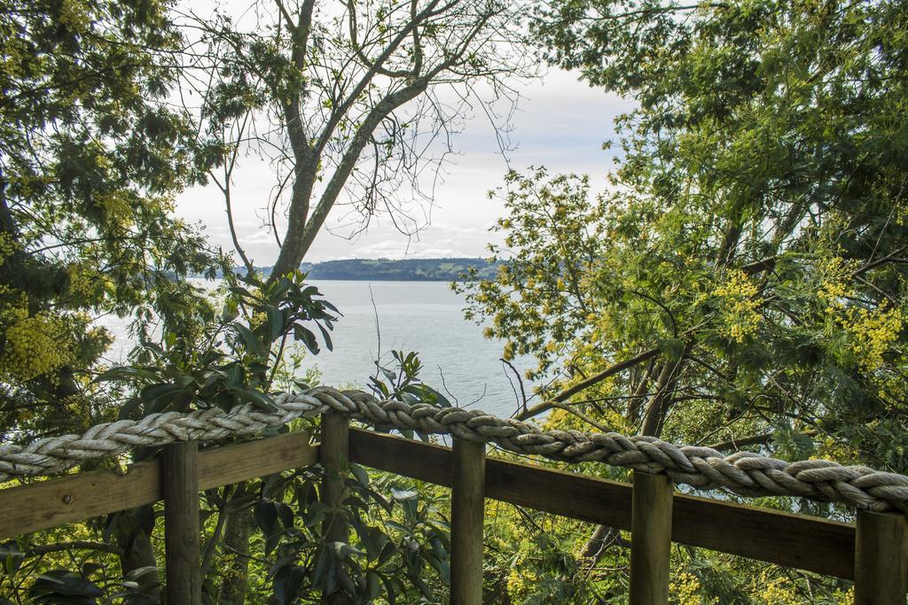 La Casa Del Arbol De Chiloe Villa Castro Eksteriør bilde