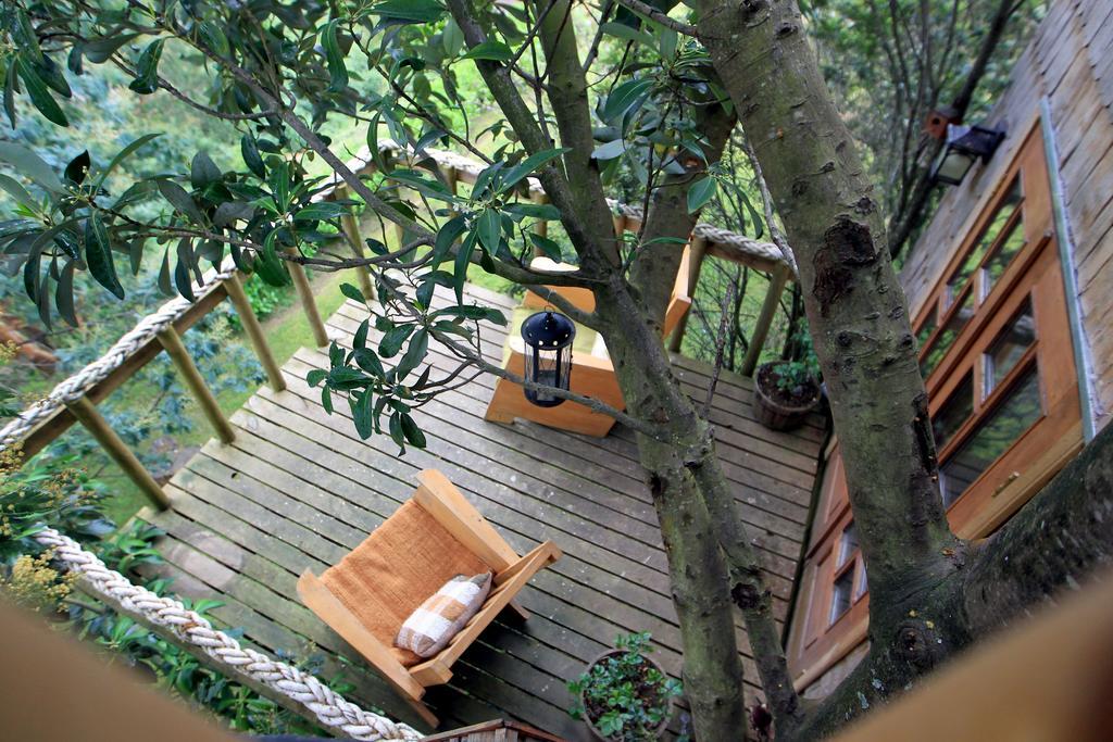 La Casa Del Arbol De Chiloe Villa Castro Eksteriør bilde